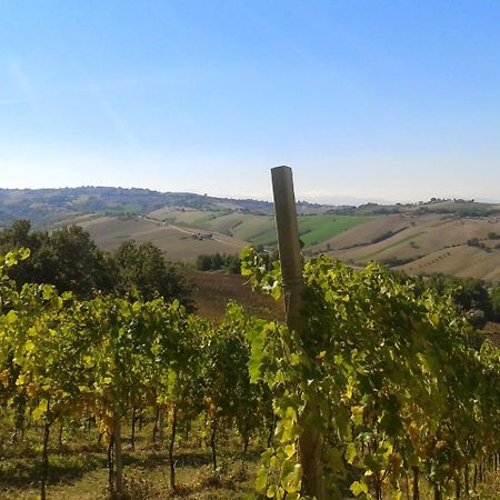 Agriturismo Le Vigne Fermo Luaran gambar