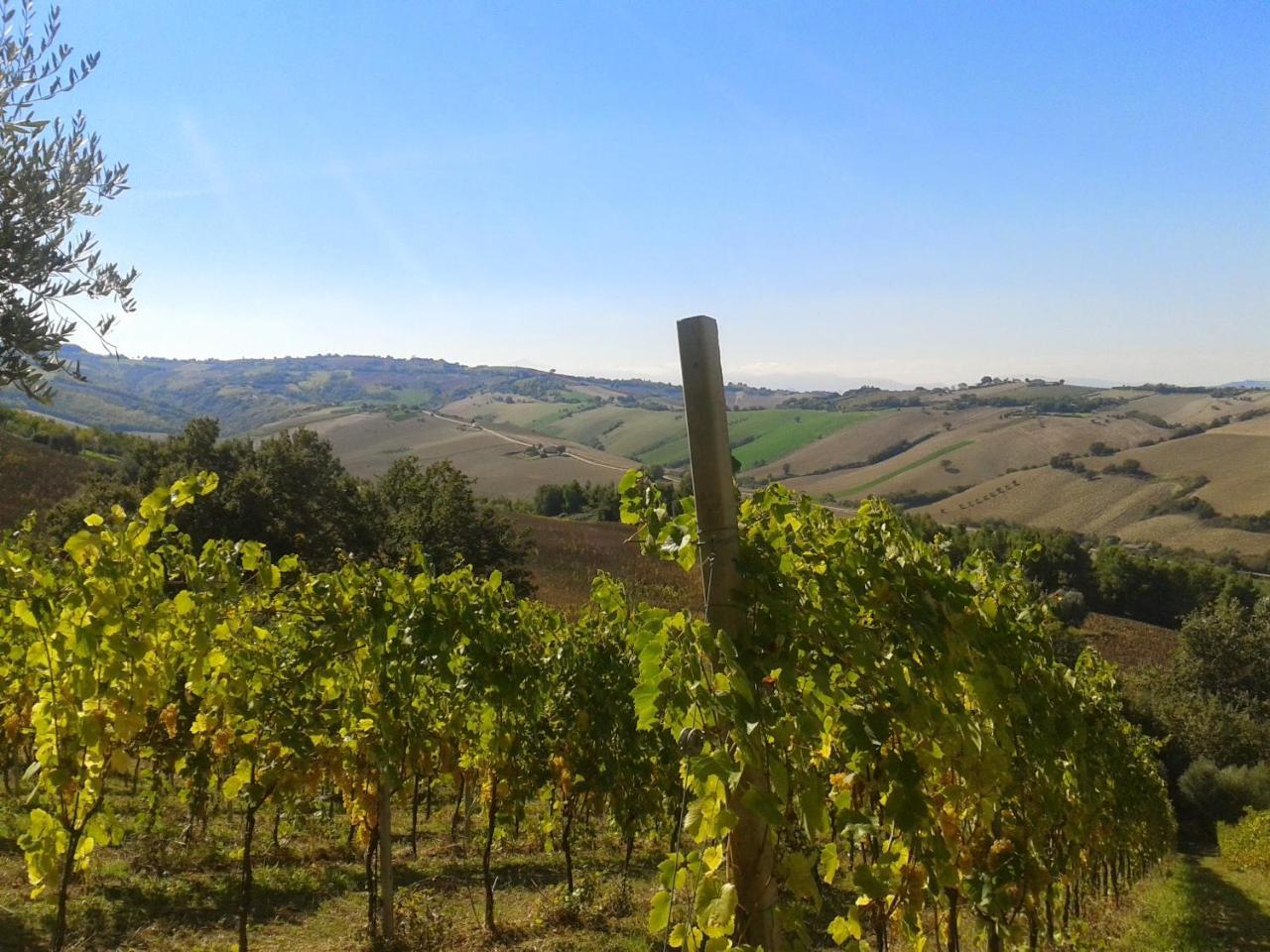 Agriturismo Le Vigne Fermo Luaran gambar