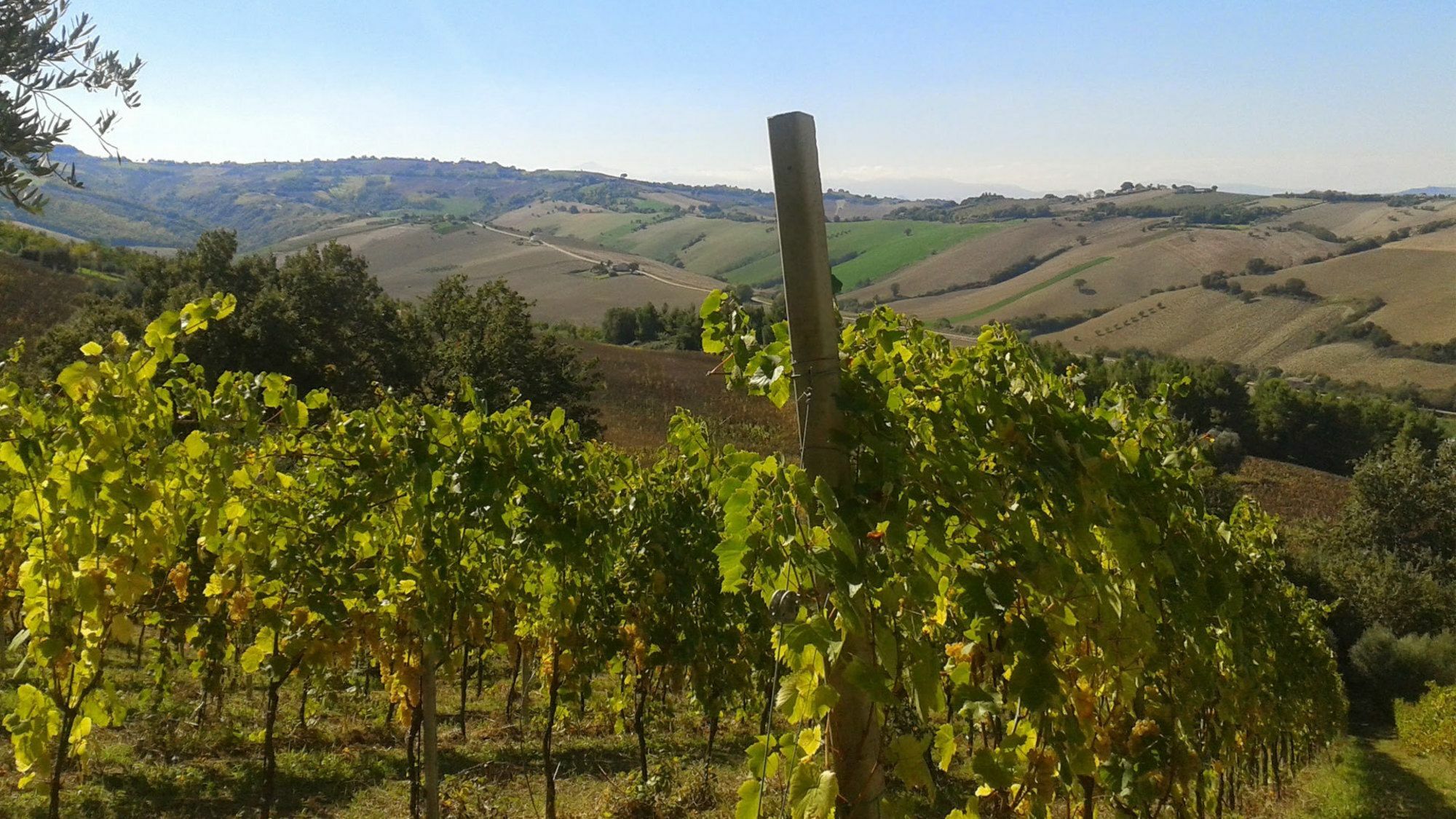 Agriturismo Le Vigne Fermo Luaran gambar